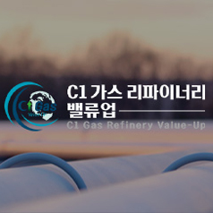 서강대C1.jpg